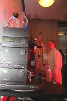 kromatografisk oprensning af proteiner
