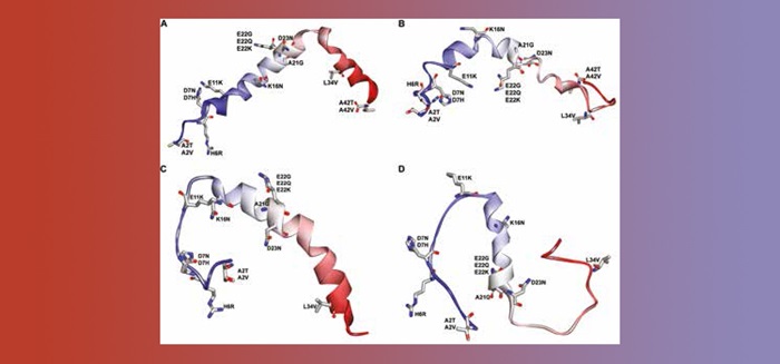 DTU Chemistry - New Paths towards combatting Alzheimer's Disease