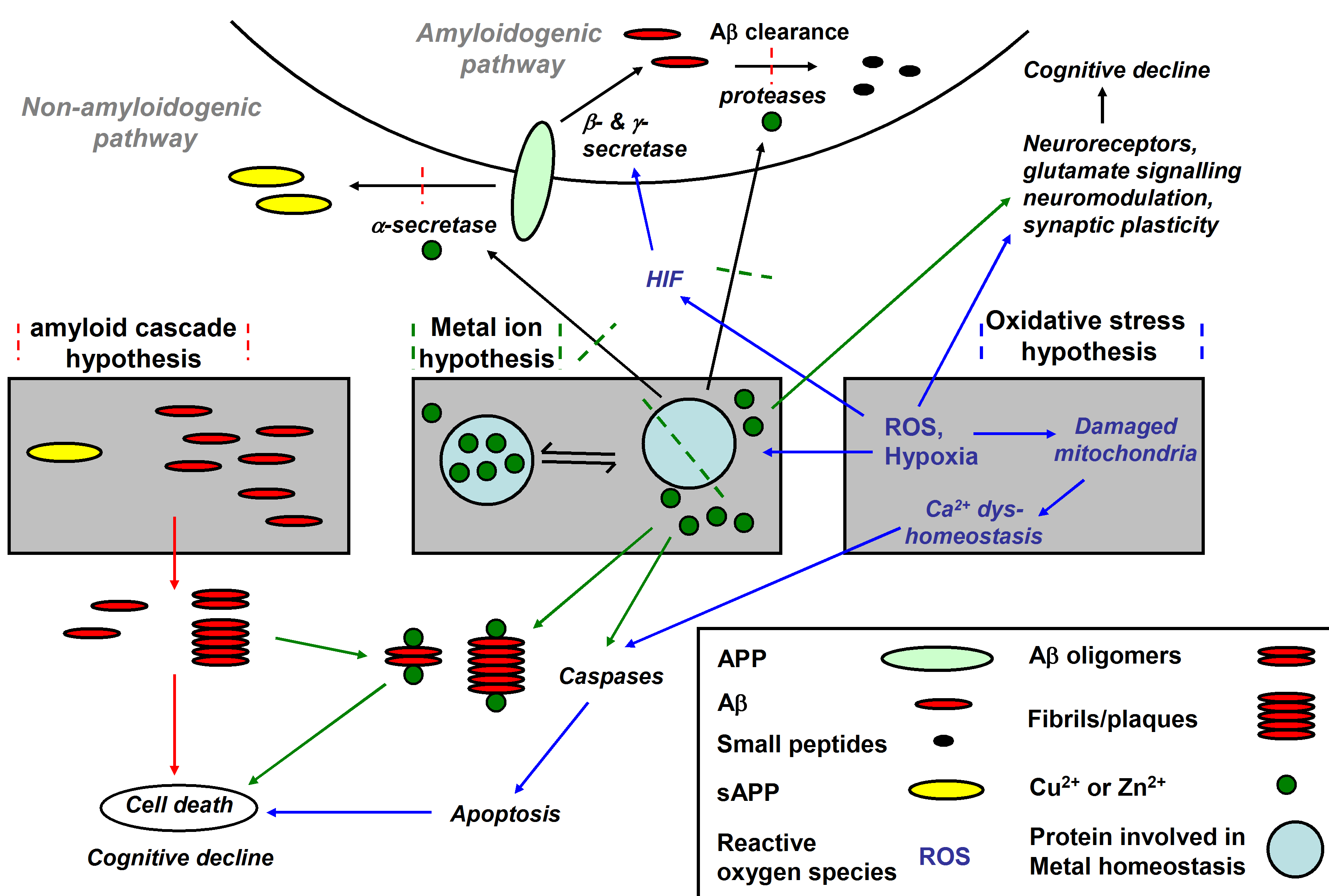 DTU Chemistry - Kasper Planeta Kepp - Alzheimer's Disease