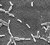 Campylobacter. Foto: CDC/ Dr. Patricia Fields, Dr. Collette Fitzgerald