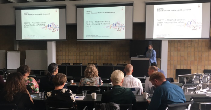 Modified Salinity Water Flooding Workshop