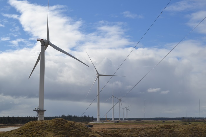 The wind turbines in Østerild