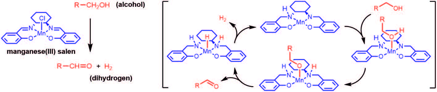 Making-Metal-Catalysis-Affordable_pic2