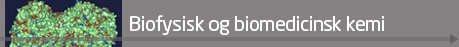 DTU Chemistry - Biofysisk og Biomedicinsk Kemi