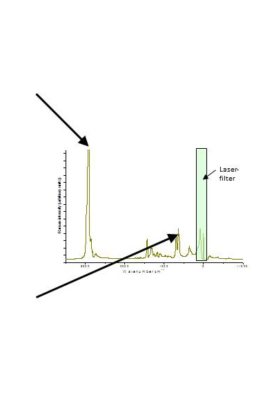 phthalateEstersAsSofteners