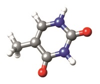Shaping_the_digital_chemist_molecule