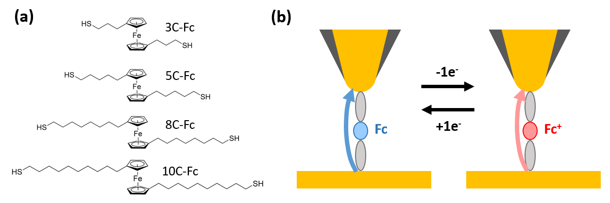 goldparticles