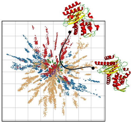 This illustration depicts an example of the shortest path between two proteins, considering the geometry of the graphing. By defining distances in this way, it is possible to achieve biologically more precise and robust conclusions.