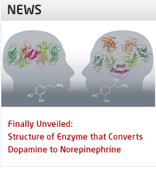 DTU Chemistry - NEWS