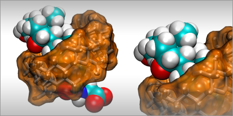 DTU Chemistry - Drug delivery