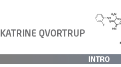 DTU Chemistry - Katrine Qvortrup - Intro