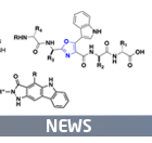 DTU Chemistry - Katrine Qvortrup - News