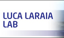 DTU Chemistry - Luca Laraia