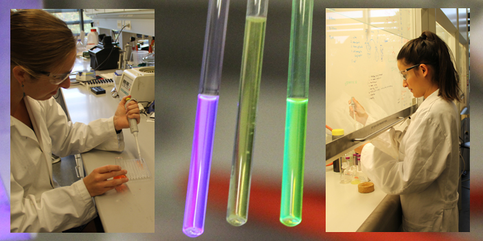DTU Chemistry - Sophie Beeren 