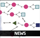 DTU Chemistry - Sophie Beeren - News