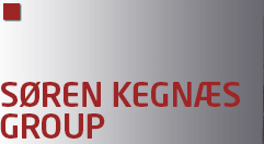 DTU Chemistry - Søren Kegnæs Group