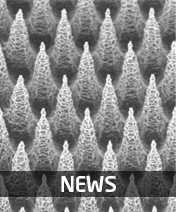 HavsteenNews