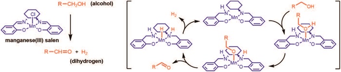 Making-Metal-Catalysis-Affordable_pic2