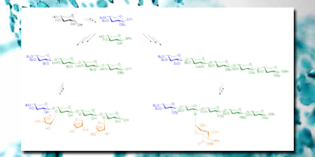 DTU Chemistry - PhD 2016