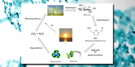 DTU Chemistry - PhD 2016