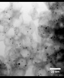 STEM image of the Pt nanoparticles encapsulated in hollow carbon spheres.