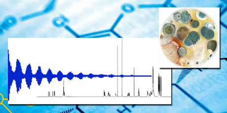 DTU Chemistry - PhD 2014