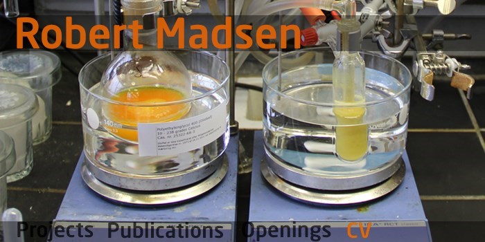 DTU Chemistry - Robert Madsen - CV
