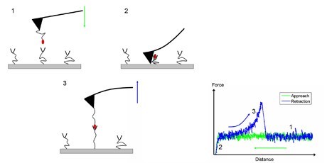 DTU Chemistry - Esben Thormann